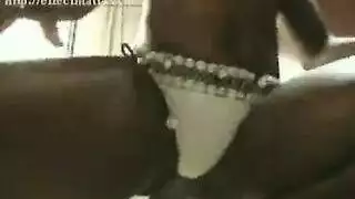 فيديوهات قصيره مترجم بالعربيه كامل