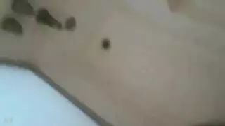 وفرة من مقاطع الجنس القذرة والصريحة