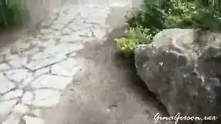 هيا بنا في رحلة إكس إكس إكس