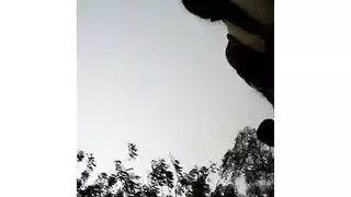 خنثى سكرتيرات إيراني