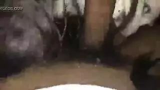 بائعة هوى تتعرض للضرب من ضابط أمستردام