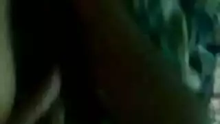 شاز ينيك حصان
