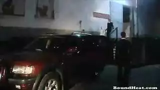 أثداء ضخمة تهتز خلال جلب كلبي خشن