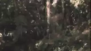 قذف داخل الفم من مص القضيب في حمام المدرسة
