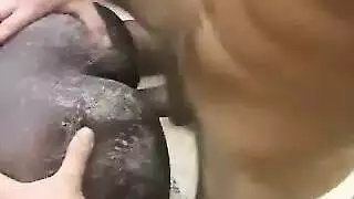 نياكة المطربة السورية من كسها
