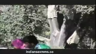 نيكة عقاب على الشجرة