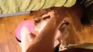 الابن النجوم على امه