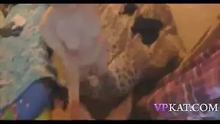 مص من منظور الشخص الأول مع بلع عميق ولعب باللسان