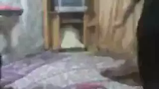 عرﺁقي