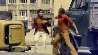 عالم مبني على القضيب والمهبل