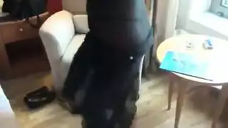 فتاة مثيرة ذات مؤخرة نارية تظهر خديها العاريين