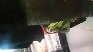 سحاق مع سادية: صفع، لعق، وتدليك في جنس عنيف