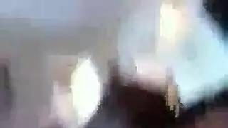 ظهر الديك الأبيض