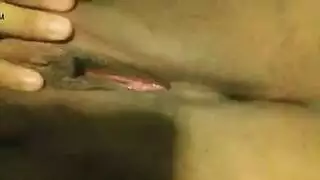 كوغر شقية تعبد عمودًا سمينًا ضخمًا