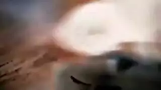سكس زنجيات عريضضة