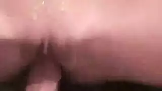 فيديوهات مع حيوانات حصان في الحظيره
