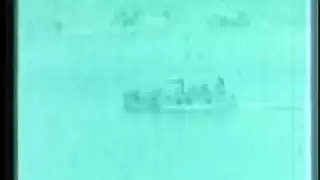وضعية الكلب الجامحة على السرير