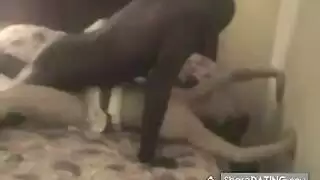 الديوث يقدم زوجته لمجموعة من الرجال الموهوبين