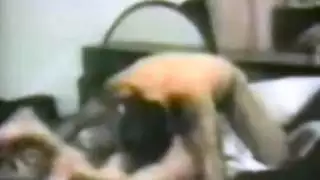 جنس عربي بدون واقي مع قذف أردني