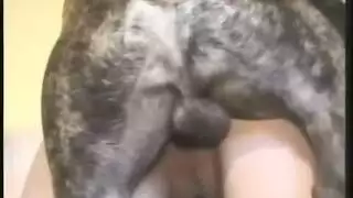 سكس حيوانات إكس إكس إكس: امرأة تأخذه من كلب في مشهد قاسٍ