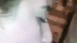 سكس الجارة المتزوجة