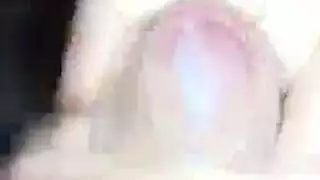 السمين مثلي الجنس الحيوانات المنوية