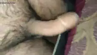 مغامرة ثلاثية: شاب مثير، صديقته، وصديق ناضج