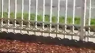 وسيط السلطة يمارس الجنس مع مساعدته ذات الكعب العالي من الخلف