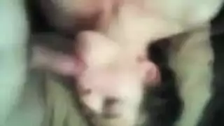 حفلة زفاف جنسية: أربع عاهات تمص في قاعة الاستقبال