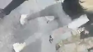 الملا طفة عامة الحلمة زلة