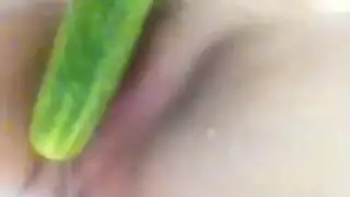 تجميع ضرط الشرجي