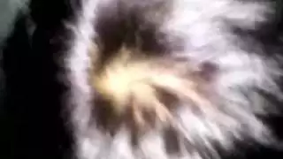 أريد أن ألصق قضيبي الكبير في مؤخرتك من الخلف