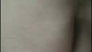 حيوان حصان ينيك مطلقه
