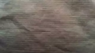 ثلاثيات هواة جامحة: أفضل إباحية بيجو لايف