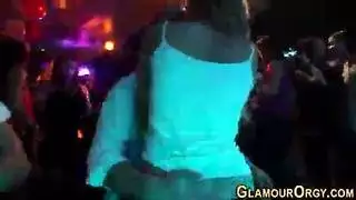 مهرجان جنس محرم دولي: الإخوة والآباء