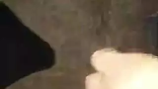 تحميل أفلام إباحية مجانية