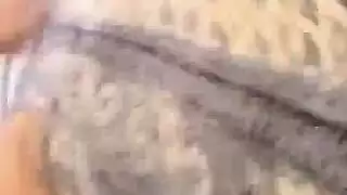 زب مراهق يهاجم الكس في فيلم منزلي صريح