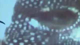 رجال الدين يشاهدون إكس إكس إكس: فانتازيا آثمة تتكشف
