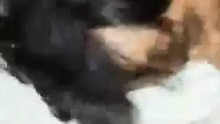 زوجة في الثلاثية باكستاني مثلي الجنس