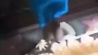 احلى رقص طيز هزازة على المهرجانات