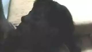 عربي ابنك تونسية