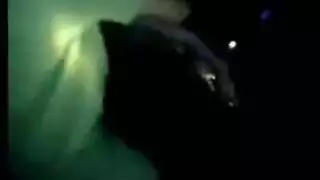 بنات تويتر البرية في إباحية وحشية صريحة