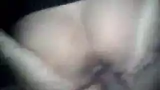 معرض مؤخرة سارة: أفلام إكس إكس إكس شرجية