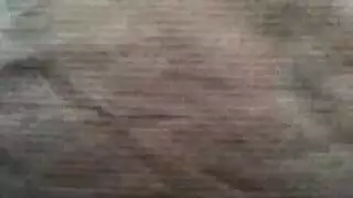 ليلة أفلام مثيرة