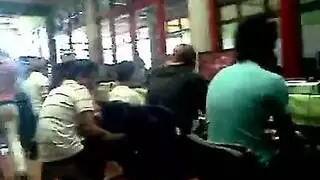 مهرجان جنس حيواني