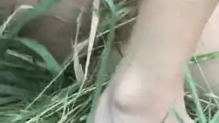 مجموعة مقاطع المص
