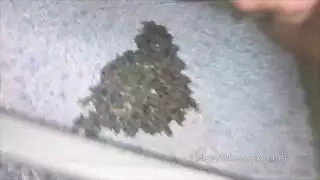 فرخن