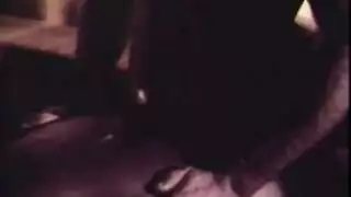 فرخة سمينة تُضرب في xxx