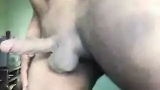 حيوانات بتنزيل البان في كس