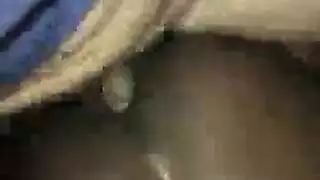 سكس سكس مص العضو الذكري